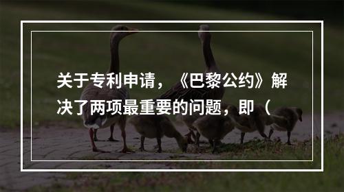 关于专利申请，《巴黎公约》解决了两项最重要的问题，即（