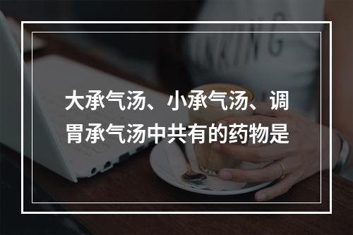 大承气汤、小承气汤、调胃承气汤中共有的药物是