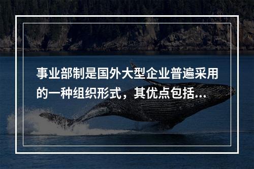 事业部制是国外大型企业普遍采用的一种组织形式，其优点包括（）