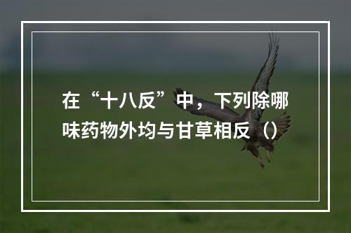 在“十八反”中，下列除哪味药物外均与甘草相反（）