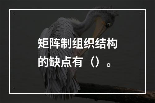 矩阵制组织结构的缺点有（）。