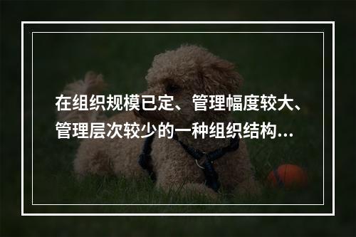 在组织规模已定、管理幅度较大、管理层次较少的一种组织结构形态