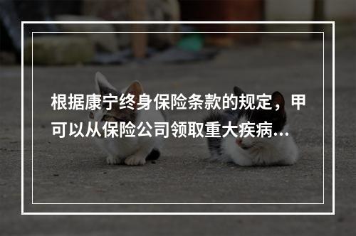 根据康宁终身保险条款的规定，甲可以从保险公司领取重大疾病保险