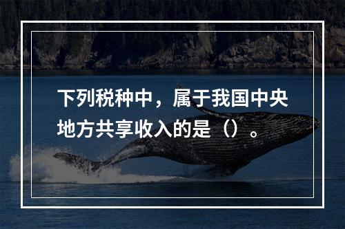 下列税种中，属于我国中央地方共享收入的是（）。