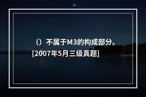 （）不属于M3的构成部分。[2007年5月三级真题]