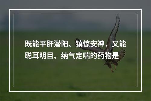 既能平肝潜阳、镇惊安神，又能聪耳明目、纳气定喘的药物是