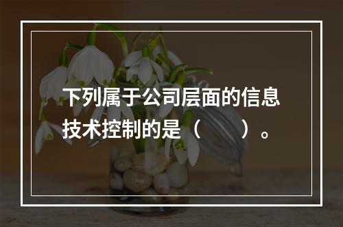 下列属于公司层面的信息技术控制的是（  ）。