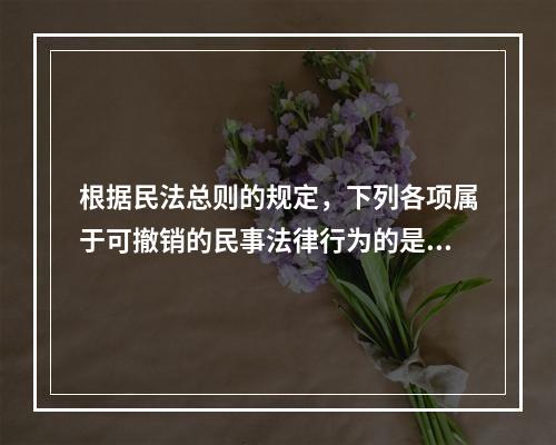 根据民法总则的规定，下列各项属于可撤销的民事法律行为的是（