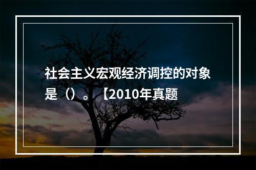 社会主义宏观经济调控的对象是（）。【2010年真题