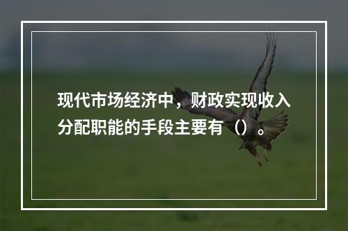 现代市场经济中，财政实现收入分配职能的手段主要有（）。