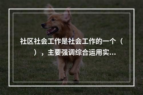 社区社会工作是社会工作的一个（　　），主要强调综合运用实践模