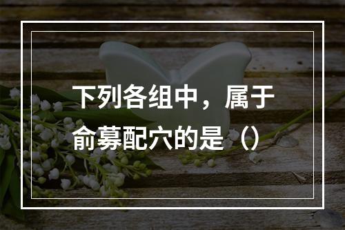 下列各组中，属于俞募配穴的是（）