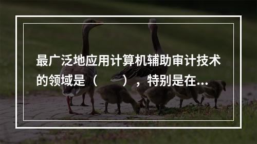 最广泛地应用计算机辅助审计技术的领域是（  ），特别是在与分