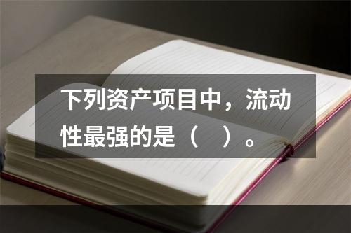 下列资产项目中，流动性最强的是（　）。