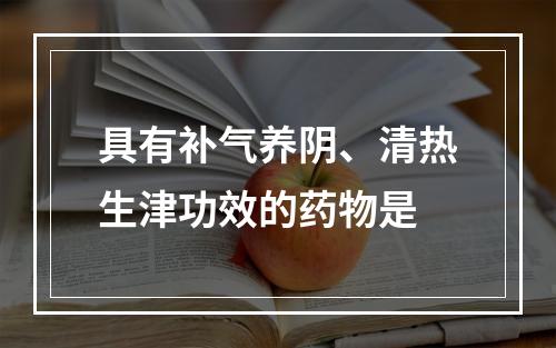 具有补气养阴、清热生津功效的药物是