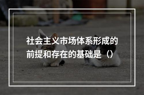 社会主义市场体系形成的前提和存在的基础是（）