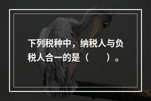 下列税种中，纳税人与负税人合一的是（　　）。