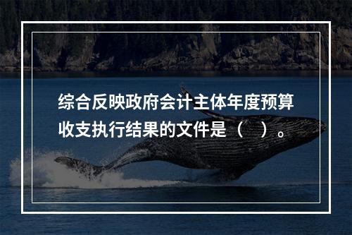 综合反映政府会计主体年度预算收支执行结果的文件是（　）。