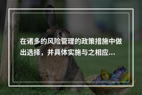 在诸多的风险管理的政策措施中做出选择，并具体实施与之相应的管