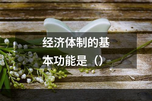 经济体制的基本功能是（）