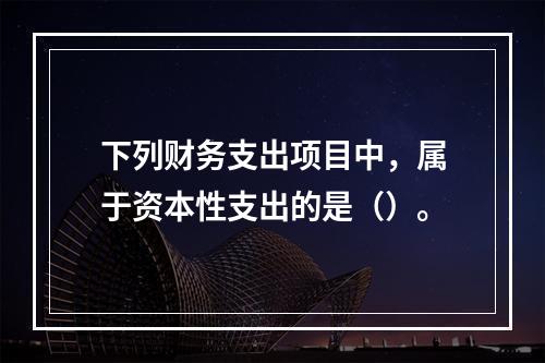 下列财务支出项目中，属于资本性支出的是（）。