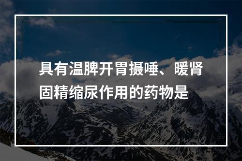 具有温脾开胃摄唾、暖肾固精缩尿作用的药物是