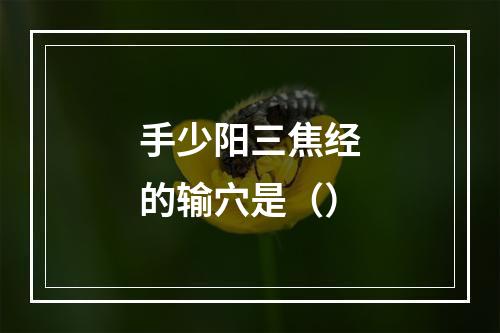 手少阳三焦经的输穴是（）