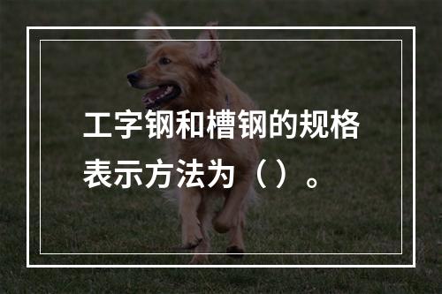 工字钢和槽钢的规格表示方法为（ ）。