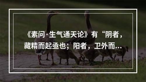 《素问·生气通天论》有“阴者，藏精而起亟也；阳者，卫外而为固