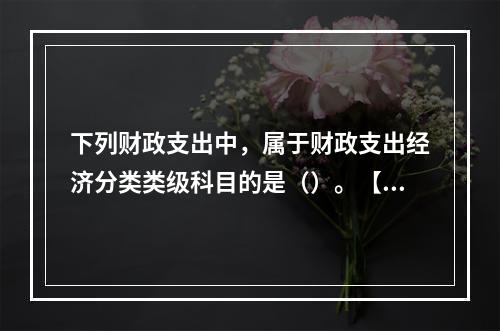 下列财政支出中，属于财政支出经济分类类级科目的是（）。【20