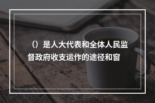 （）是人大代表和全体人民监督政府收支运作的途径和窗