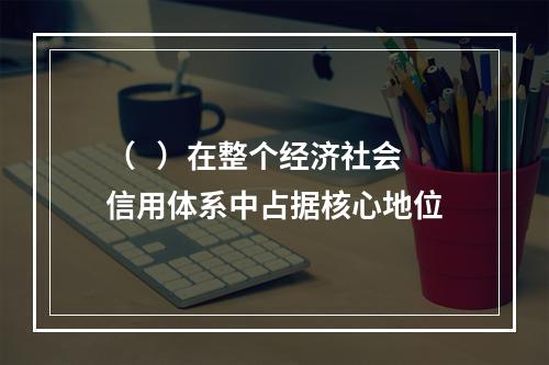 （   ）在整个经济社会信用体系中占据核心地位