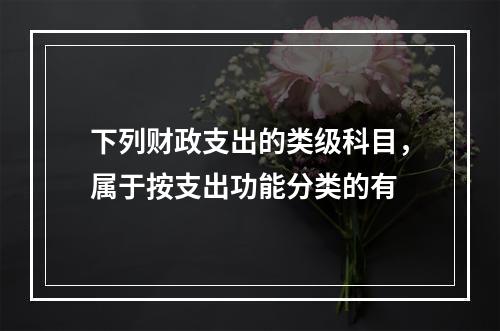 下列财政支出的类级科目，属于按支出功能分类的有