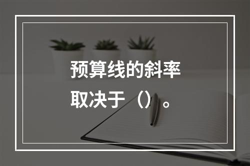 预算线的斜率取决于（）。