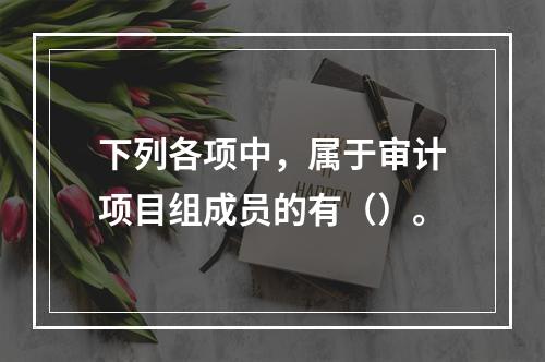 下列各项中，属于审计项目组成员的有（）。