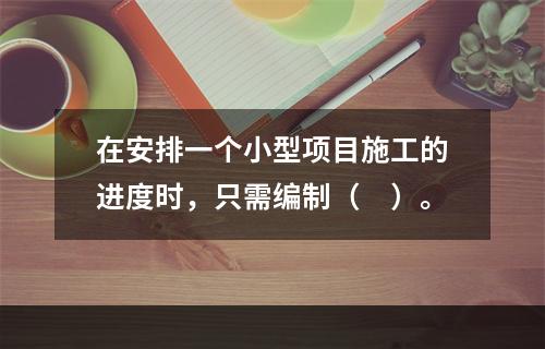 在安排一个小型项目施工的进度时，只需编制（　）。