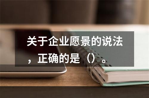 关于企业愿景的说法，正确的是（）。