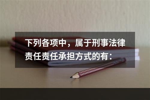 下列各项中，属于刑事法律责任责任承担方式的有：