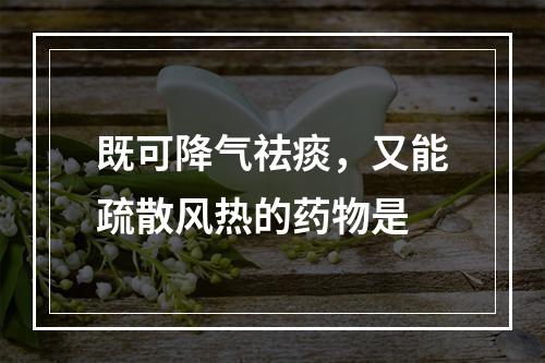 既可降气祛痰，又能疏散风热的药物是