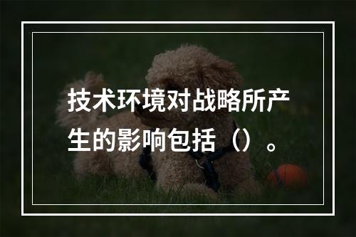 技术环境对战略所产生的影响包括（）。