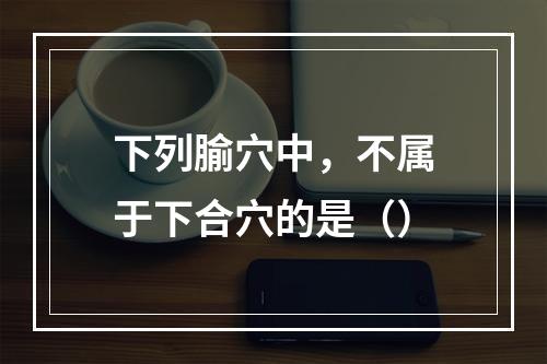 下列腧穴中，不属于下合穴的是（）