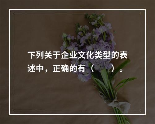 下列关于企业文化类型的表述中，正确的有（　　）。