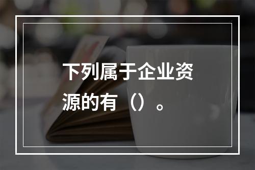 下列属于企业资源的有（）。