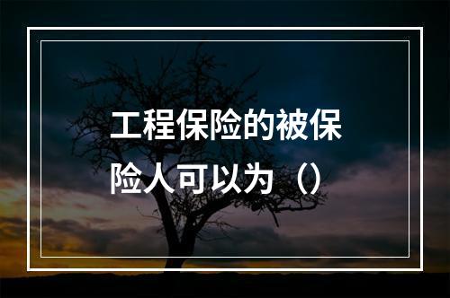 工程保险的被保险人可以为（）