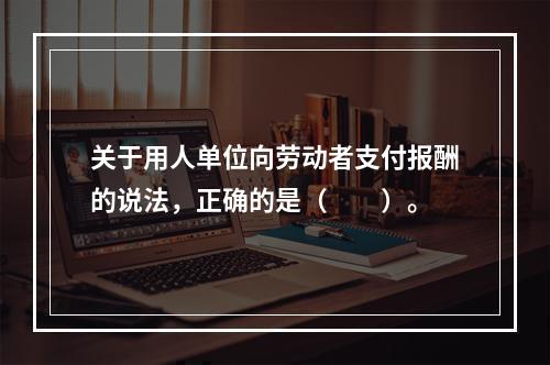 关于用人单位向劳动者支付报酬的说法，正确的是（　　）。