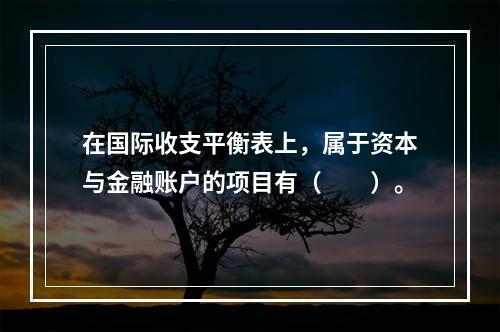 在国际收支平衡表上，属于资本与金融账户的项目有（　　）。