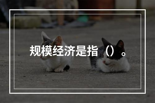 规模经济是指（）。