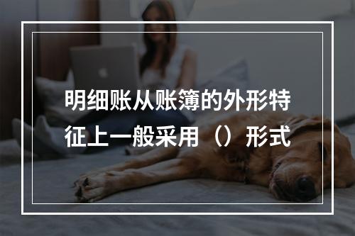 明细账从账簿的外形特征上一般采用（）形式