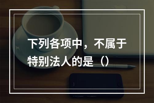 下列各项中，不属于特别法人的是（）