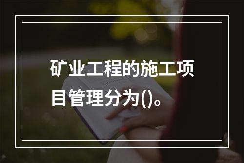 矿业工程的施工项目管理分为()。